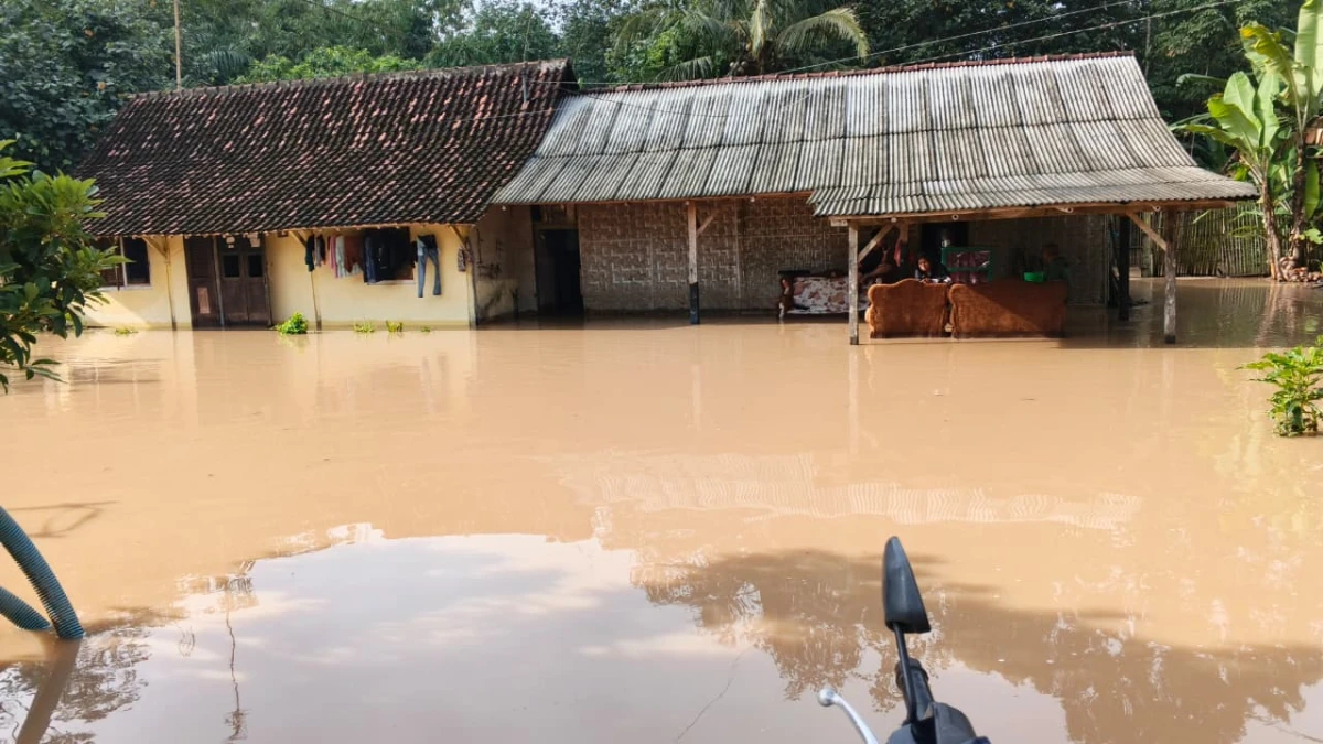 Banjir Bandang Melanda Lampung: Ratusan Rumah Terdampak dan Warga Dievakuasi