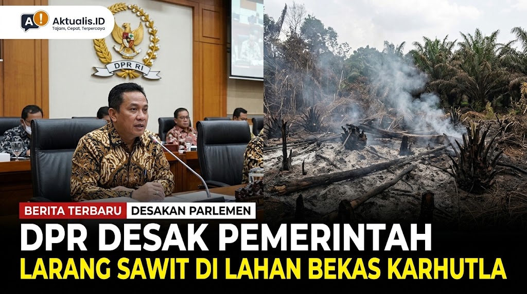 DPR Desak Pemerintah Larang Sawit di Lahan Bekas Karhutla